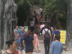 -王顺山国家森林公园
