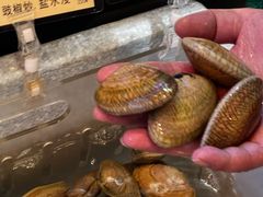 -協成海鮮火鍋(老店)