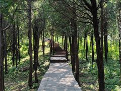 -蟒山国家森林公园-停车场