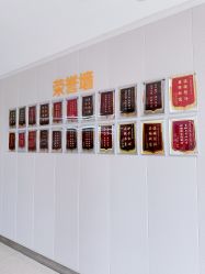 -艾博尔医院