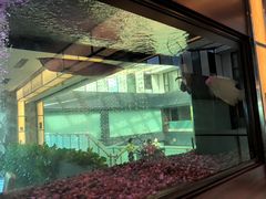 -厦门悦华酒店