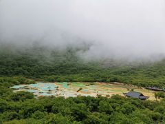 -黄龙山原始森林景区