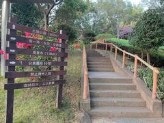 -仙岳公园