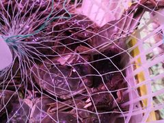 -滨海新区濒开里菜市场