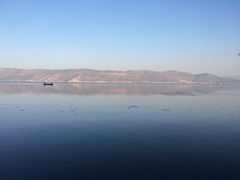 -才村湿地公园