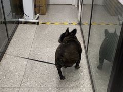 -四月宠物医院·猫专科·心脏专科·内科(转塘店)