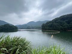 -广州市石门国家森林公园