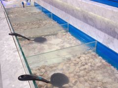 -火锅岛潮牌自助餐厅(天津天佑城店)