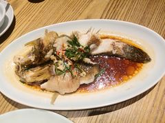 -日出青木