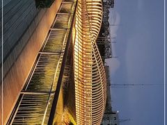 -福田红树林生态公园