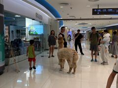 -新奥购物中心