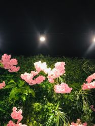 -藤野造型·专业烫染店