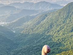 -梧桐山风景名胜区