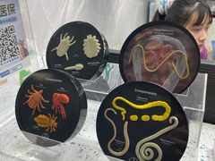 -半岛宠物医院24小时(白果林店)