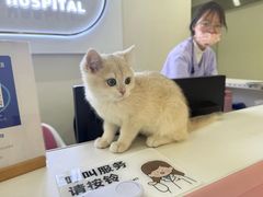 -立德异宠动物医院.兔鸟爬.内窥镜(天河店)