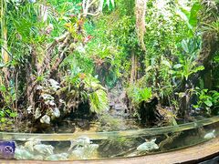 -太平洋海底世界