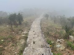 -梧桐山风景名胜区