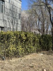 点击看大图 -爱儿美儿童摄影(奥森公园店)