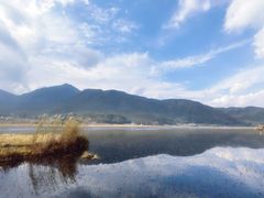 -腾冲北海湿地