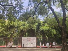 -晓港公园
