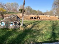 -北京野生动物园