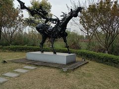 -洋湖国家湿地公园