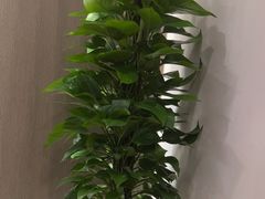 -牛天下·牛肉·海鲜·打边炉·融合菜