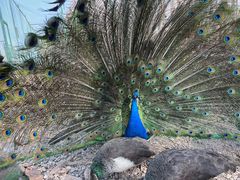 -南京金牛湖风景区