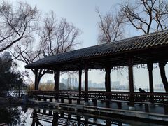 -金银湖国家城市湿地公园