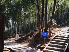 -上海佘山国家森林公园天马山园