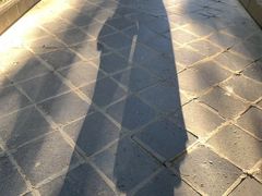 -瑞丽独树成林风景区