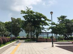 -大澳