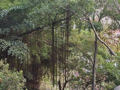 -鸿山公园
