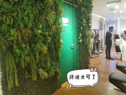 -崇尚GAVIN STYLE