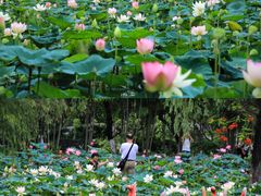 -南丹山森林王国