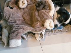 -平行世界·猫咖(首经贸店)