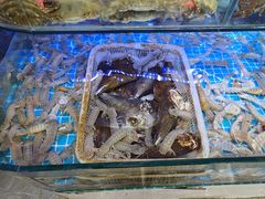 -日照大牌檔•小船海鲜(万平口店)