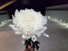 -侵华日军南京大屠杀遇难同胞纪念馆