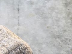 -莲池书院博物馆