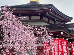 -浅草寺