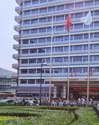 -首都医科大学附属北京儿童医院