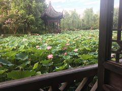 -乌镇望津里精品酒店