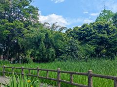 -成都市活水公园