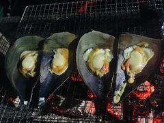 -洛蒂·咖啡与轻食