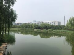 -大兴滨河森林公园