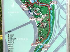 -大望京公园