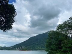 -广州市流溪河国家森林公园