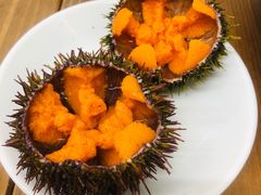 -海胆小馆(东北水饺·春柳店)