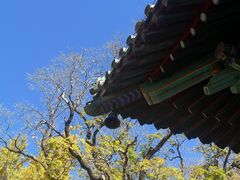 -潭柘寺景区