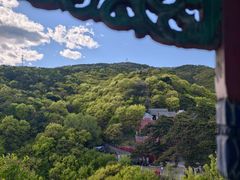 -妙峰山风景名胜区